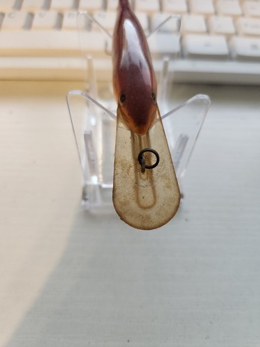 VINTAGE RAPALA SHAD RAP CRANKBAIT FISHING LURE - Picture 6 of 7
