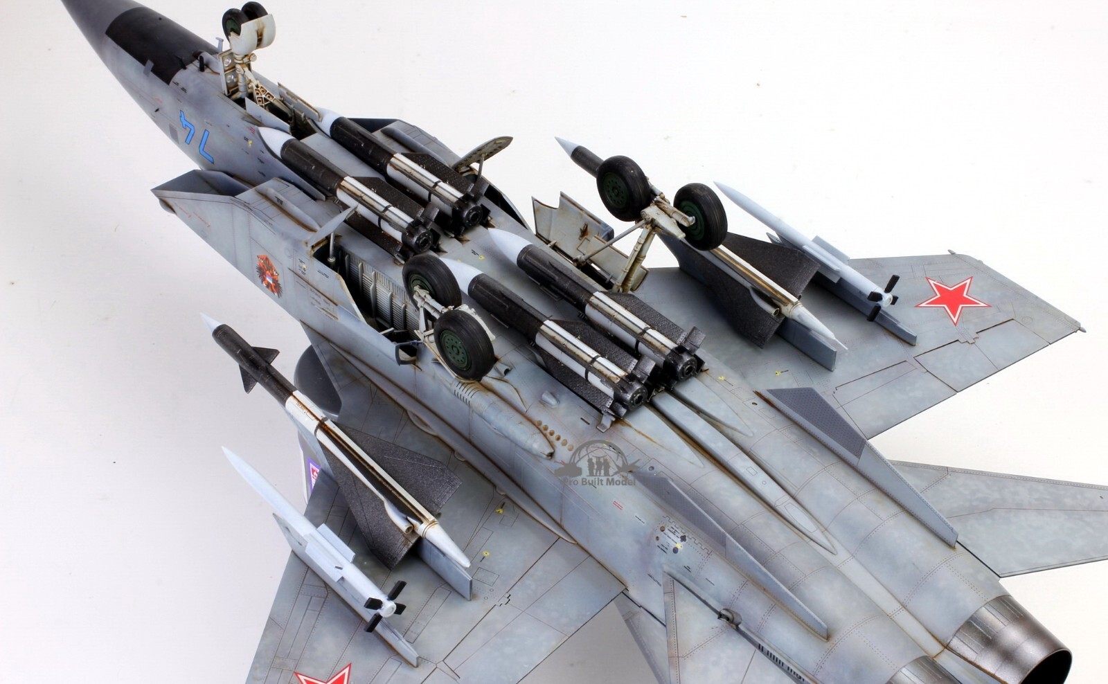 PreSale Russia MiG-31 Foxhound 1:48 Pro Built Model