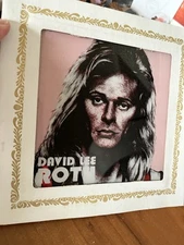 Vintage Van Halen - David Lee Roth - Carnival Boardwalk Mirror - 80's