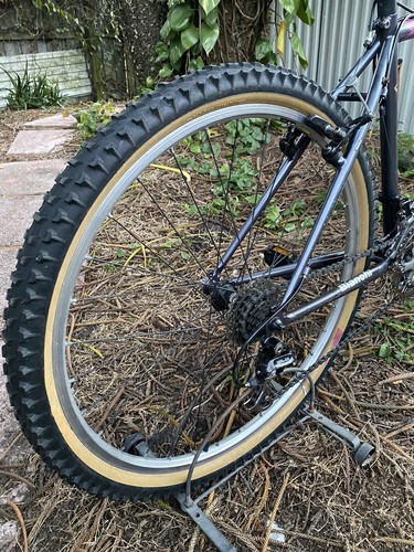 bianchi peregrine mountain trail bike - Picture 10 of 12