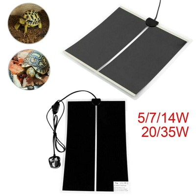 www.ebay.co.uk