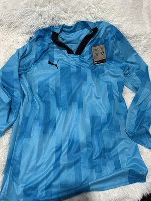 Puma Teamtarget Goalkeeper Longsleeve Mens Jersey. Blue Size XL
