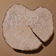 Old Hornbeam Burr burl Cookie Slice approx (mm) 340x310x70mm THICK