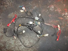 Sinnis Flair 50cc wiring loom