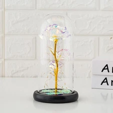 Preserved Rose Flower in Glass Dome with LED Lights – Elegant Home & Office Deco