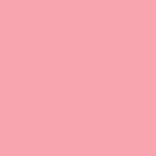 Confetti Cotton in Peony Confetti Cottons Riley Blake