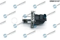 Dr.Motor Automotive Agr-Ventil DRM151107 FüR Chevrolet Opel Vauxhall