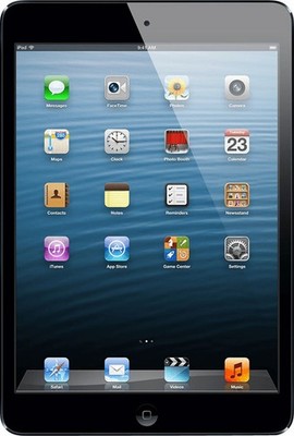 Apple iPad mini 1. Generation 16GB WiFi & Cellular Black - Sehr Guter Zustand