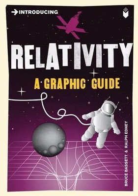 Bruce Bassett | Introducing Relativity | Taschenbuch | Englisch (2009) | 176 S.