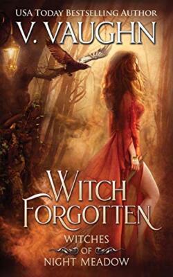 Witch Forgotten (Witches of Night Meadow), Vaughn 9781079232554 Free Shipping-,