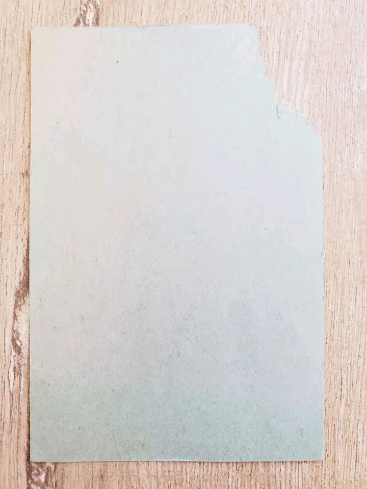 Programa oficial y boleto de carreras de caballos de Santa Anita 1958 CA 26/12/58 Terrang Foto 4 de 4