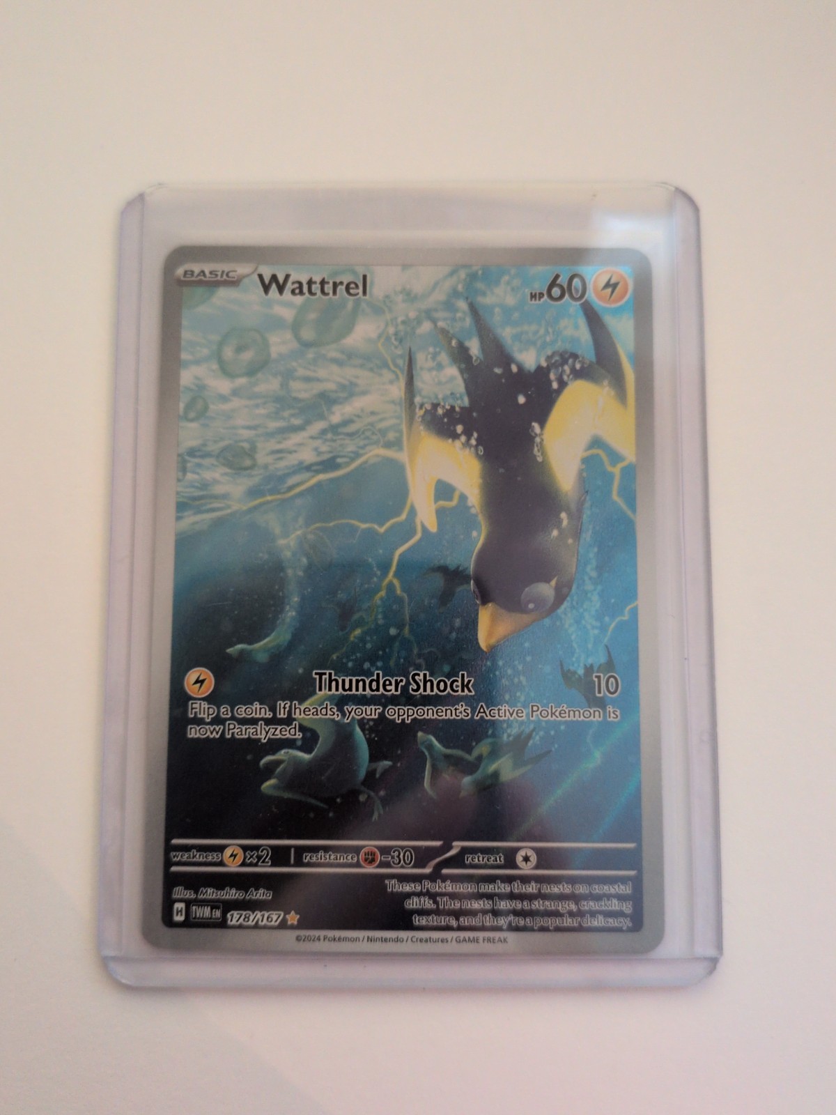 Pokémon TCG Wattrel Scarlet & Violet Twilight Masquerade Holo Card 178/167
