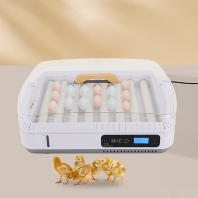 Automatic 35 Egg Incubator Chicken Quail Hatcher Incubators for Hatching Eggs
