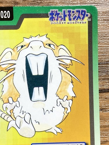 Pokemon Carddass Card Raticate File No.20 Bandai Pocket Monsters 1997 Japan - Picture 4 of 17