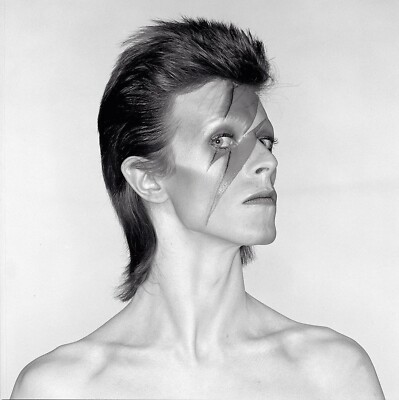 Ex - Exhibition - Aladdin Sane Contact Sheet Print #02 - Official