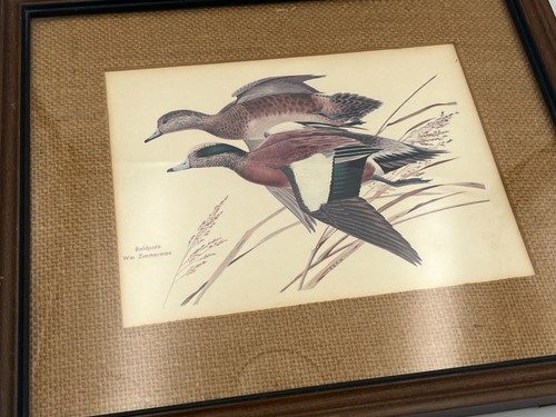 Vintage Wm Zimmerman Baldpate Duck Print Art Nature In Rustic Matted Frame 10x13 - 第 3/10 張圖片