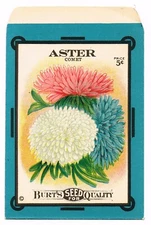 VINTAGE CARD SEED PACKET FLOWERS C1915 BURT COMET ASTER GARDENING FOLK ART D3