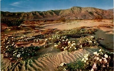 scenic art unshorn fields desert Bryant USA Scenic Art PO postcard