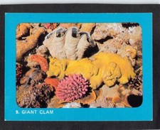 Y3003 Sanitarium Aust Underwater swap card #9 Giant Clam
