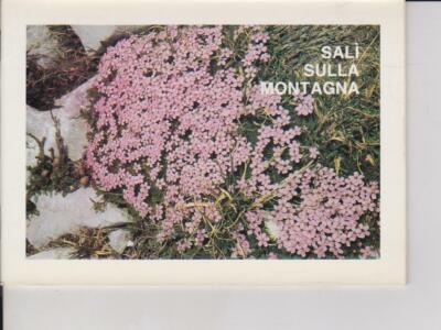SALì SULLA MONTAGNA COMUNITà CRISTIANE DI RENDENA 