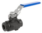 1/4" Carbon Steel Full Port ball valve, NACE RPTFE Seal Welded 2000PSI FxF NPT