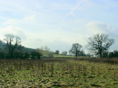 Foto 6x4 2009: Westlich von Bloomfield Road (oder Timsbury Road) Bloomfield \ c2009
