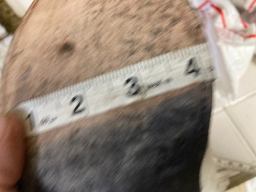 Stivali da cowboy western americani fatti a mano vintage negozio personalizzato avorio struzzo 7 E - Foto 18 di 20