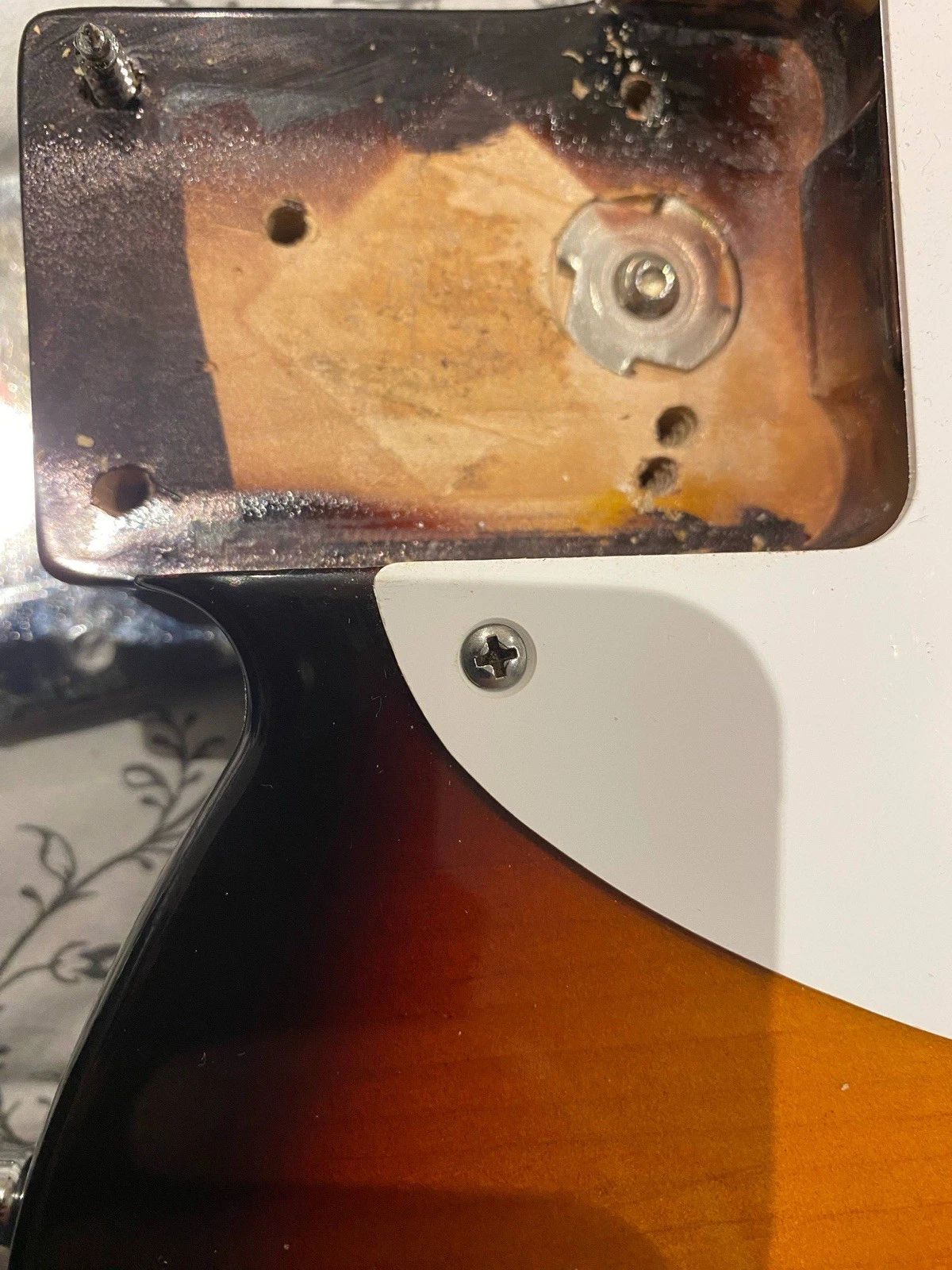 Picture 17 of 18