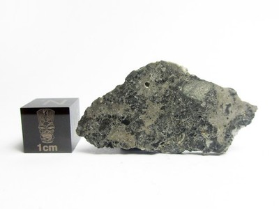 NWA 16294 Lun 2.72g Slice of Lunar (Troctolite Melt Breccia) Meteorite