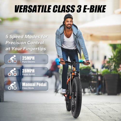 26" Fat Tire E-Bike Peak 750W 48V 13AH Electric Bicycle Mountain Ebike for Adult - Picture 5 of 7