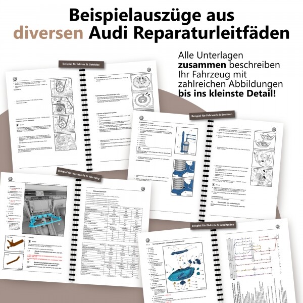 Bild 2 von 8