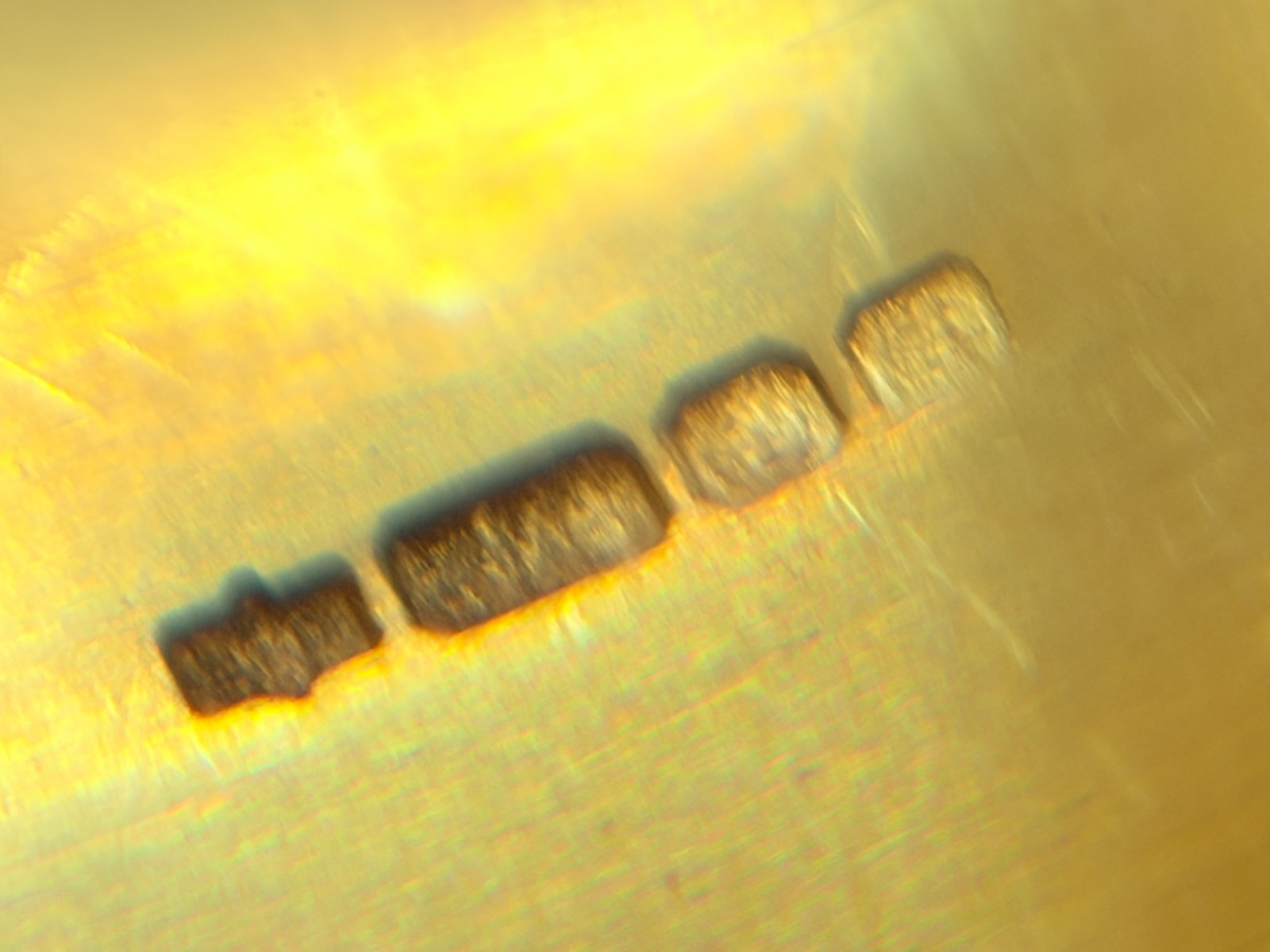 9ct Yellow Solid Gold Buckle Ring - image 11