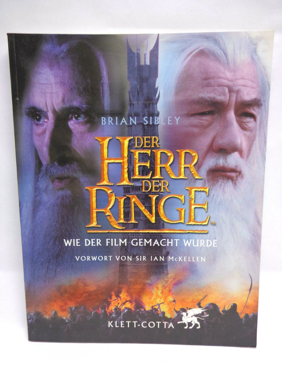 Filmwelt Shop Herr Der Ringe - Fahne - Aragorn - Banner 61x222 Cm