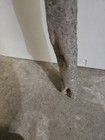Bild 3 von 14