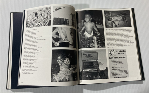 American Pictures By Jacob Holdt First Edition Denmark 1985 Hardcover w Jacket - Picture 7 of 8