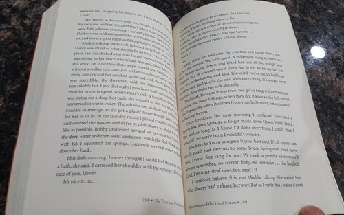 The True and Outstanding Adventures of the Hunt Sisters: By Elisabeth Robinson - Picture 7 of 8