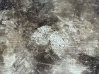 Bild 8 von 12