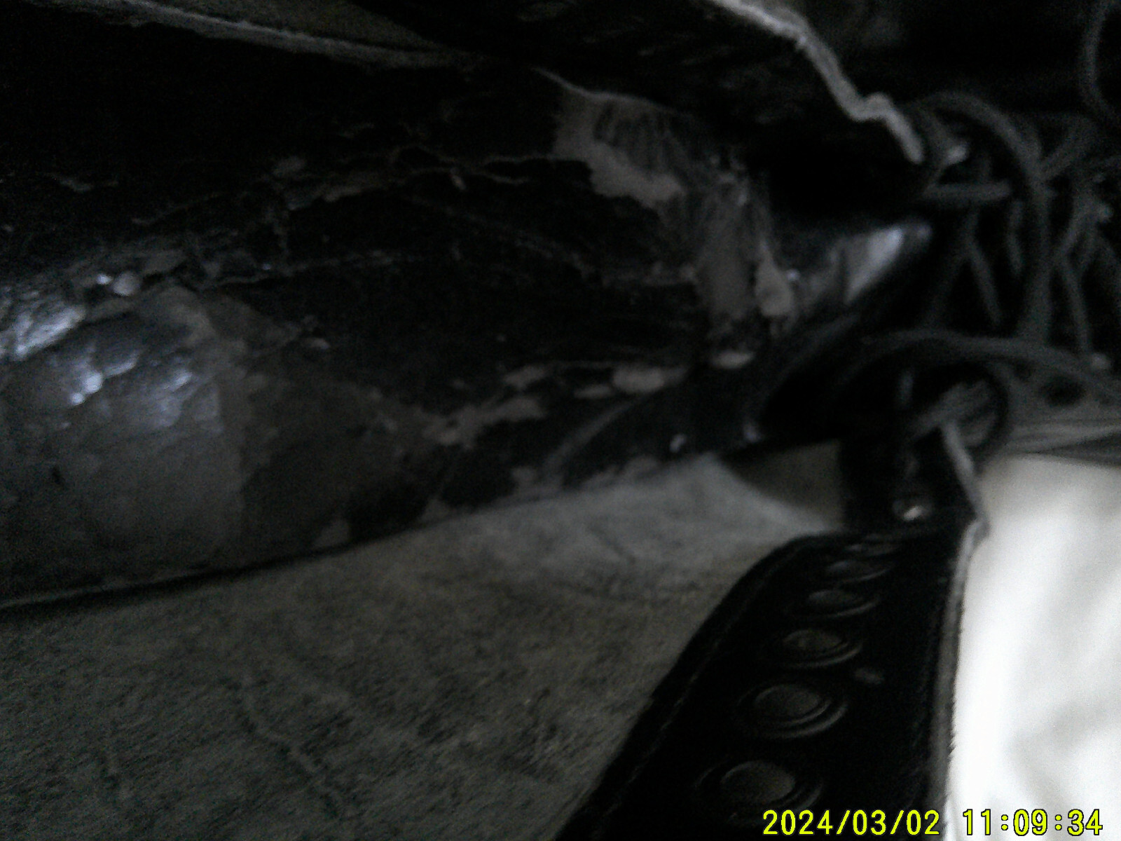 Picture 5 of 12