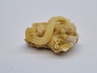 Foto 12 di 21