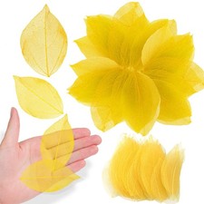 42PCS Golden Dried Skeleton Leaves, Natural Pressed, Resin, DIY Craft, Decor