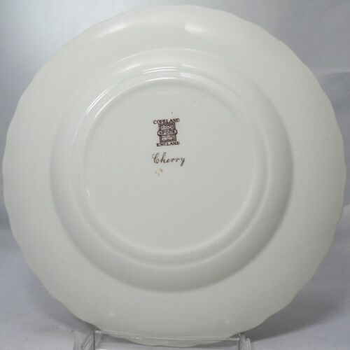 GLENDALE CHERRY by Spode Dinner Plate 10.5" NEW NEVER USED made in England - Picture 4 of 5