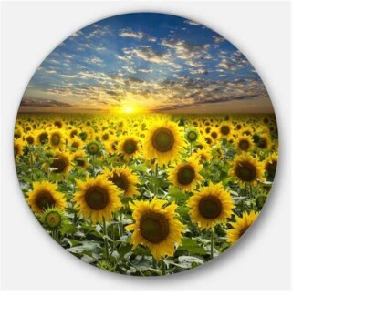 Sun Sunflower Sunset Pendant On 925 Sterling Silver 20'' necklace female women  