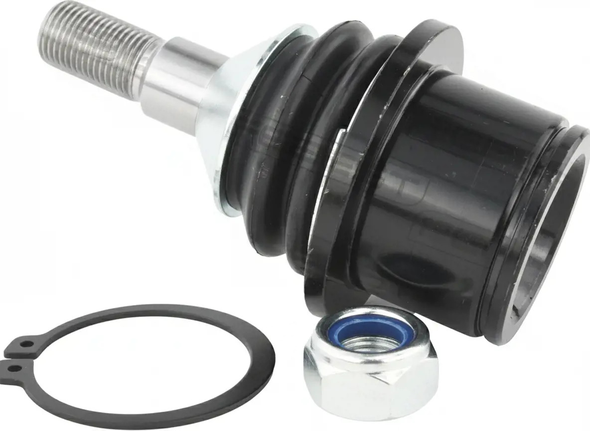 FEBEST 1220-JX1R Testina braccio oscillante Assale posteriore inferiore - Immagine 2