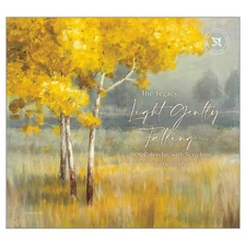 Legacy Publishing Group,  Light Gently Falling by Danhui Nai 2026 Wall Calendar,