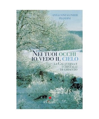 Nei tuoi occhi io vedo il cielo. La galaverna e i cristalli di ghiaccio 
