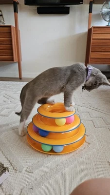 BRANDED Tower of Tracks – 3-Level Interactive Cat Toy with 6 Spinning Balls, Non-Slip Ba