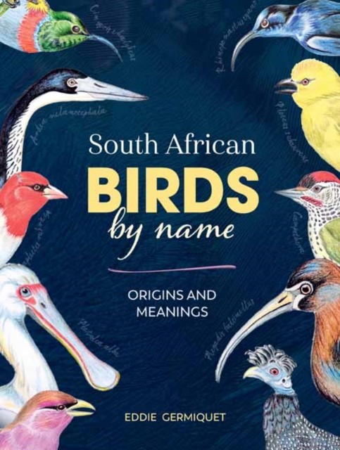South African Birds By Name : Origins And Meanings Eddie Germiquet - Image 3
