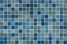 Vanguard Forest Blue