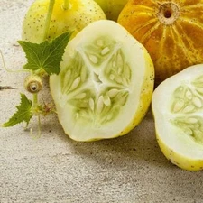 40 Lemon Cucumber Seeds  Non-GMO Heirloom USA Seller