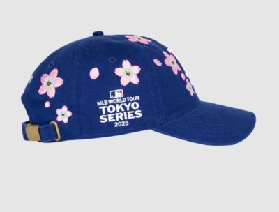 ✓ Dodgers x Takashi Murakami 2025 MLB Tokyo Series